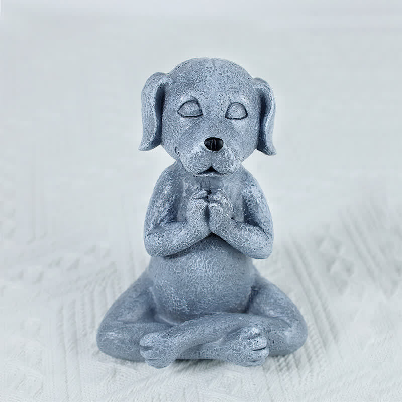 Zen Chien Chat Grenouille Méditant