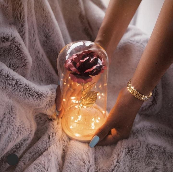 Rose Éternelle sous Cloche – Élégance & Romance Durable