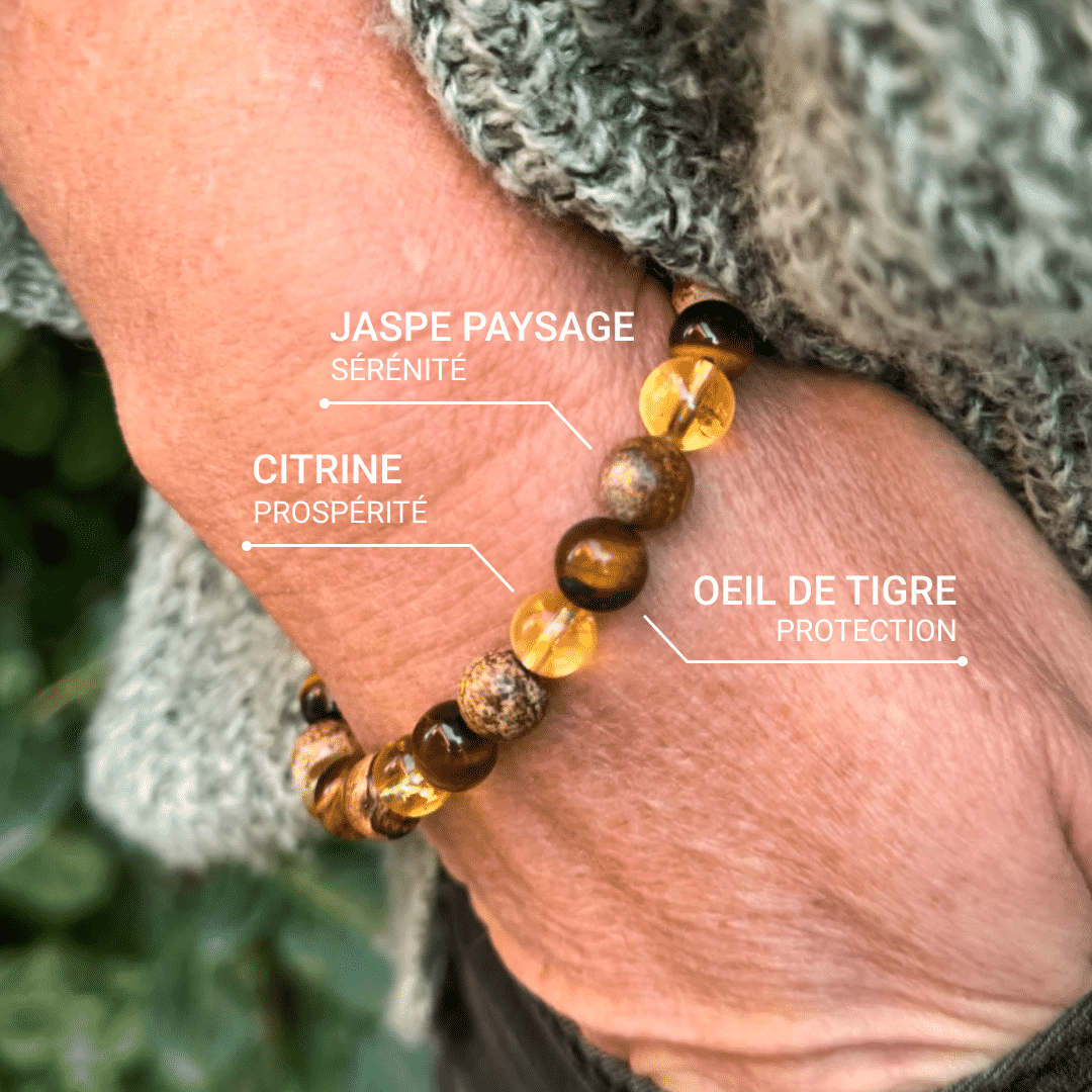 Bracelet Protection & Prospérité en Oeil de Tigre, Citrine & Jaspe Paysage